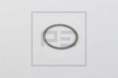 PE AUTOMOTIVE 01615910a -  Дистанционная шайба, система рычагов